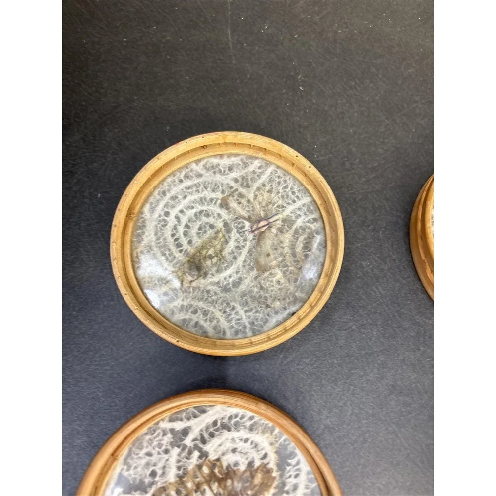 Vtg~1970's~Pressed Butterfly Bamboo Coaster~Set of 4~Japan